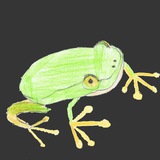 Telegram profile photo for 🐸 Froschgedanken... 🐸💭