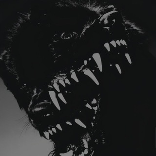 Telegram profile photo for แ
ึน โ๐๐ข๐ฅ๐๐อ๐อ๐งอ๐ญอ๐.แ
