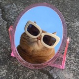 Telegram profile photo for أورلَاندوّ.⁷⁵