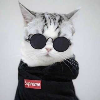 Telegram profile photo for Meaw Vouchers