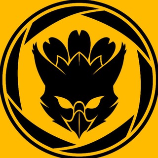 Telegram profile photo for Grifotógrafo