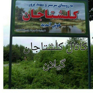 Telegram profile photo for 🏞کانال#کلشتاجان#گیلان🌷🏕