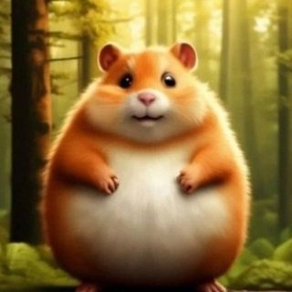 Telegram profile photo for 444