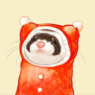 Telegram profile photo for Львівський тхір