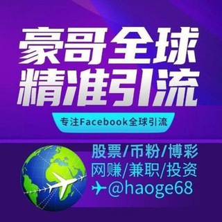 Telegram profile photo for 豪哥全球FB.TK引流/源头数据