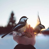 Telegram profile photo for خُطىً🕊