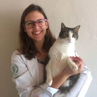 Telegram profile photo for Gateiros e Gateiras😽😻