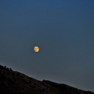 Telegram profile photo for "بریندار"