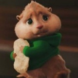 Telegram profile photo for Сеня.pub
