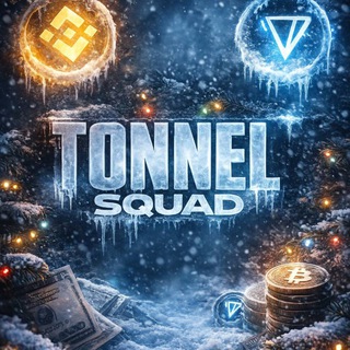 Telegram profile photo for Tonnel Squad | Флипы