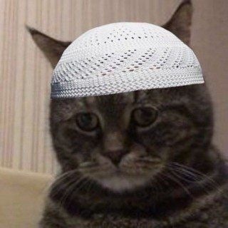 Telegram profile photo for آمِن السّرب
