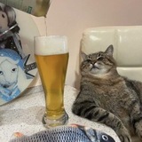 Telegram profile photo for искренность жидослава.