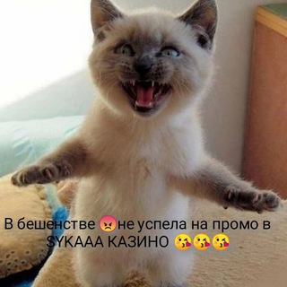 Telegram profile photo for Играть в лучшие онлайн игровые автоматы на деньги