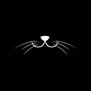 Telegram profile photo for Wiskers Verification