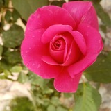 Telegram profile photo for خواطر وتأملات