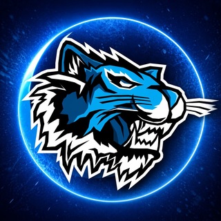 Telegram profile photo for ICETIGERS | Зверский прогресс