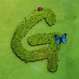 Telegram profile photo for Greenpeace Madrid