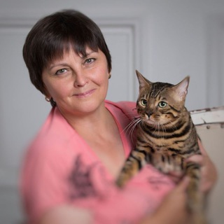 Telegram profile photo for Бенгалы 🐆 Питомник Bengalik