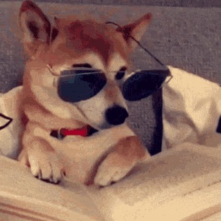 Telegram profile photo for dogwithSHDZ Official
