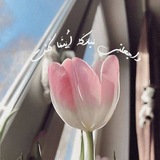 Telegram profile photo for هَمَسَاتٌ إِسْلاَمِيّةٌ🌸🩷