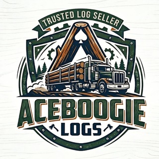 Telegram profile photo for Ace Boogie Methods