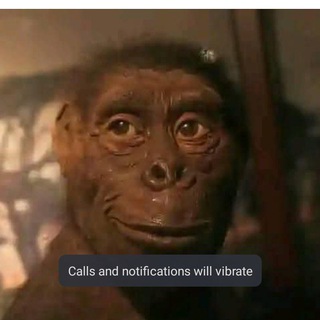 Telegram profile photo for Nambibira ch