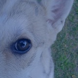 Telegram profile photo for дᴏʍиᴋ дᴀнюɯи #ʙᴏᴧᴏᴦдᴀ