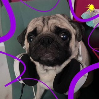 Telegram profile photo for KURXIEN || TRIBE