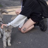 Telegram profile photo for Прайс°💌