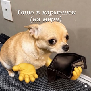 Telegram profile photo for Прайс || ToSha ࿐༵