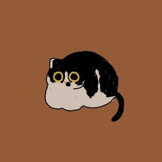 Telegram profile photo for wt17903fff1