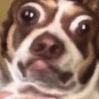 Telegram profile photo for Хихоньки хахоньки