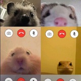 Telegram profile photo for 『Коридоры Live』