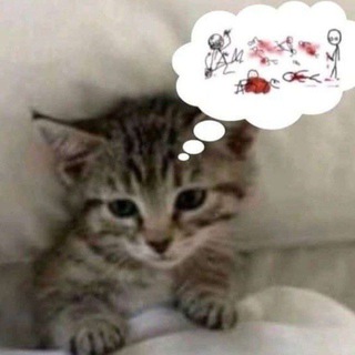 Telegram profile photo for untitled