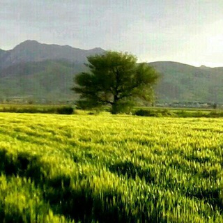 Telegram profile photo for ** شهرک سلگی **