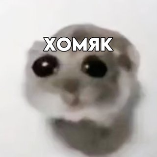 Telegram profile photo for Тапалки