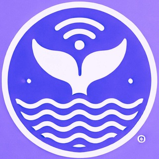 Telegram profile photo for Smart Whale Alert