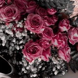 Telegram profile photo for نشر حالات منصه احسان ✨
