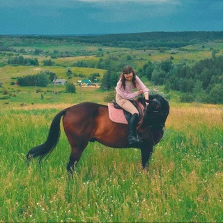 Telegram profile photo for CCAColdcloud