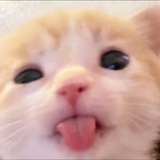 Telegram profile photo for ASO me