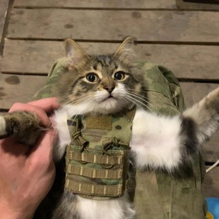 Telegram profile photo for Crackas Combat Footage