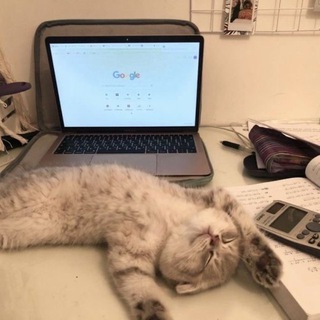 Telegram profile photo for ОГЭ 2025 Разбор вариантов