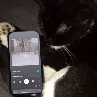 Telegram profile photo for ㅤ𝖯𝖤𝖱𝖲𝖨𝖠𝖭 𝖦𝖨𝖱𝖫