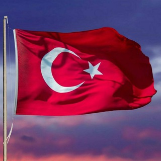 Telegram profile photo for Learn Turkish language