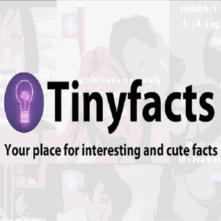 Telegram profile photo for π‘ Tiny Facts