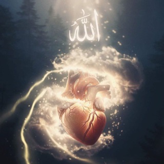 Telegram profile photo for أَلَا بِذِكْرِ اللَّهِ تَطْمَئِنُّ الْقُلُوبُ ❤️