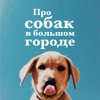 Telegram profile photo for Моё собачье дело ❤️