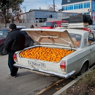 Telegram profile photo for Южный перевозчик