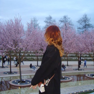 Telegram profile photo for ksusha’s diary⋆˚ | нисеша