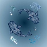 Telegram profile photo for کروموزوم آبی 🩵